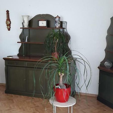 5 Gartenstrasse 안게르문데 외부 사진